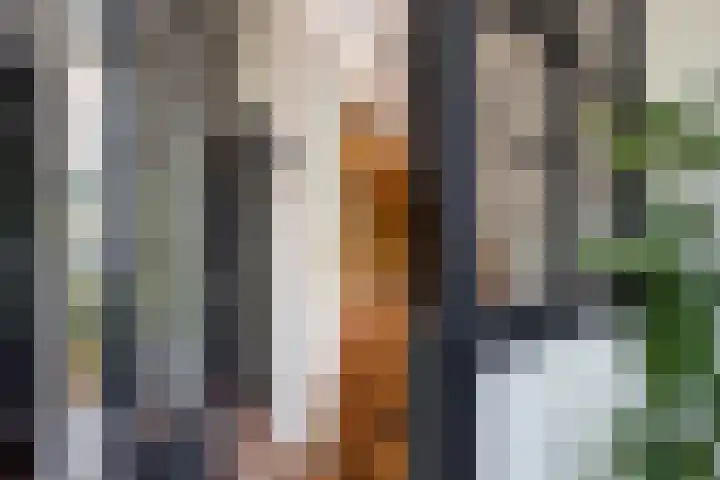 Regentesseplein 7 Breda thumbnail 8
