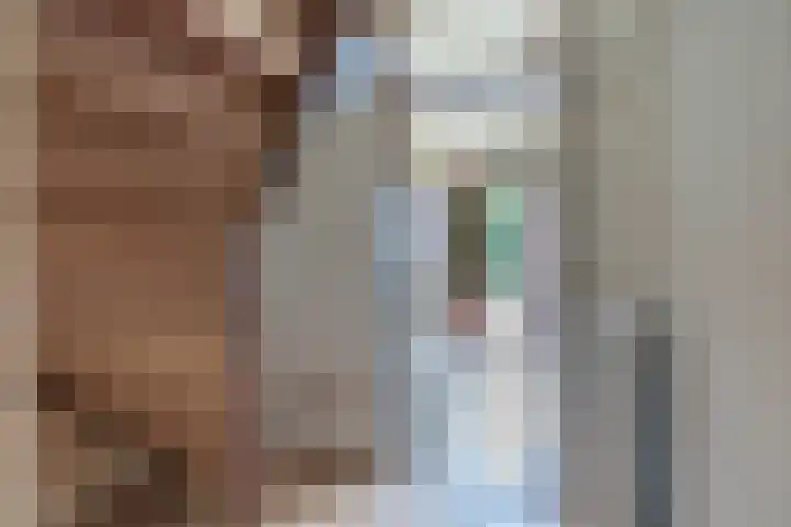 Regentessestraat 1 Zoetermeer thumbnail 11