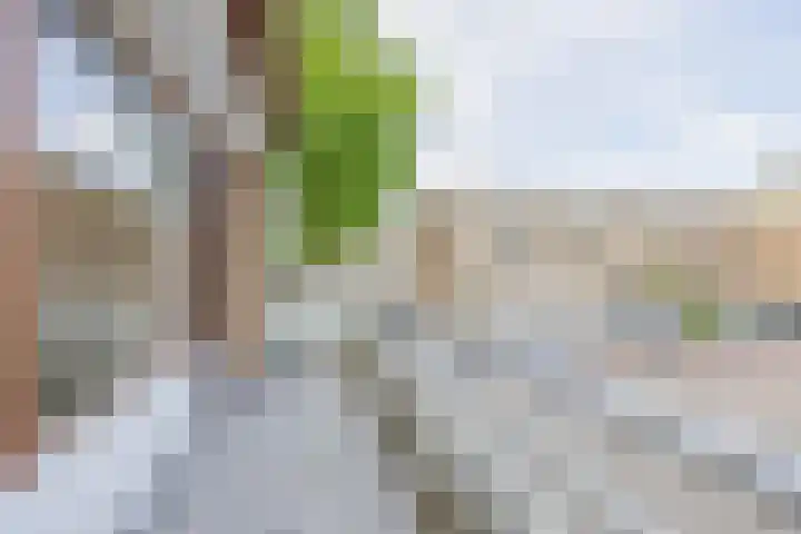 Regentessestraat 1 Zoetermeer thumbnail 17
