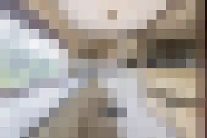 Regentessestraat 1 Zoetermeer thumbnail 19