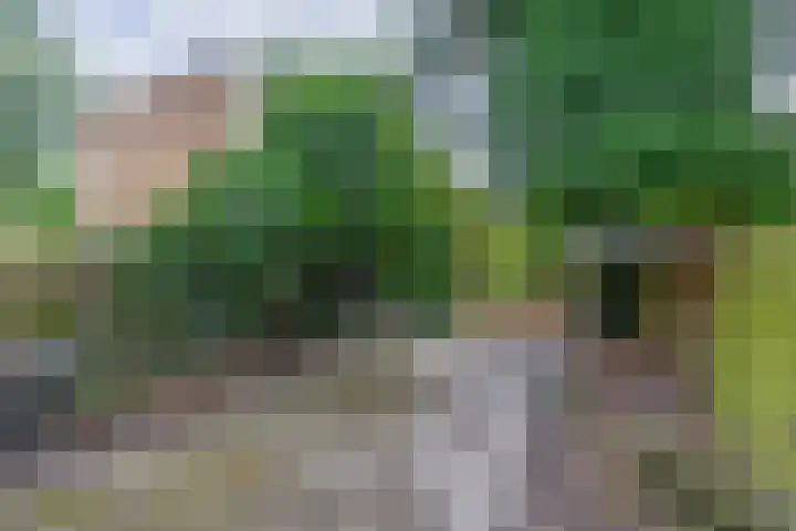 Regentessestraat 1 Zoetermeer thumbnail 33