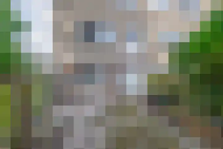 Regentessestraat 1 Zoetermeer thumbnail 34