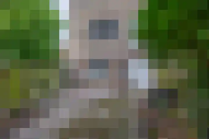 Regentessestraat 1 Zoetermeer thumbnail 35