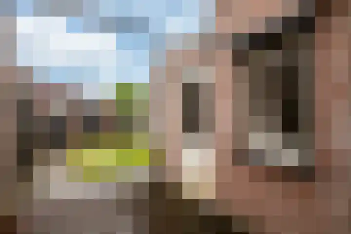 Regentessestraat 11 Heerlen thumbnail 17