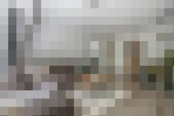 Regentessestraat 113 Venlo thumbnail 4