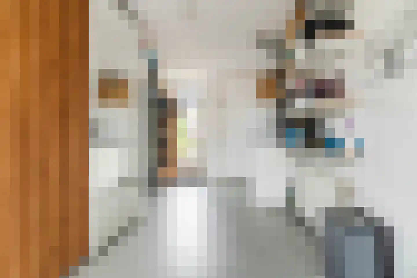 Regentessestraat 14 Geldermalsen thumbnail 12