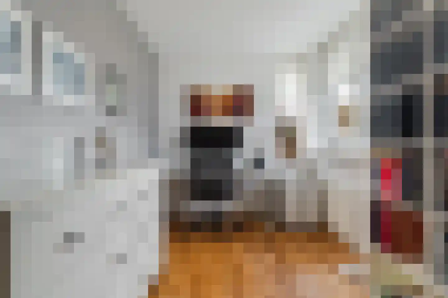 Regentessestraat 14 Geldermalsen thumbnail 16