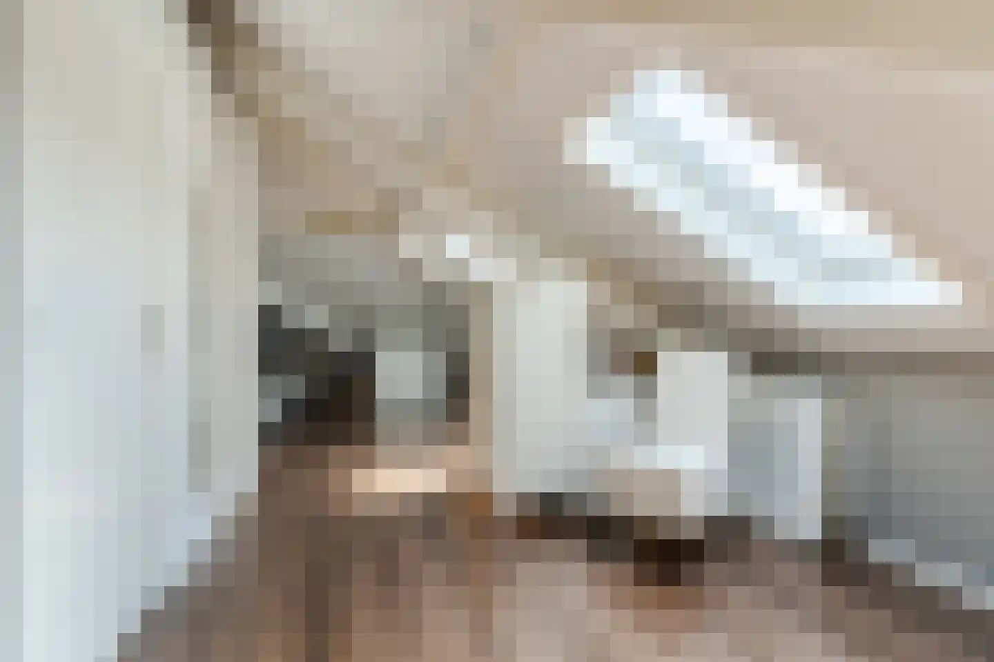 Regentessestraat 14 Geldermalsen thumbnail 23