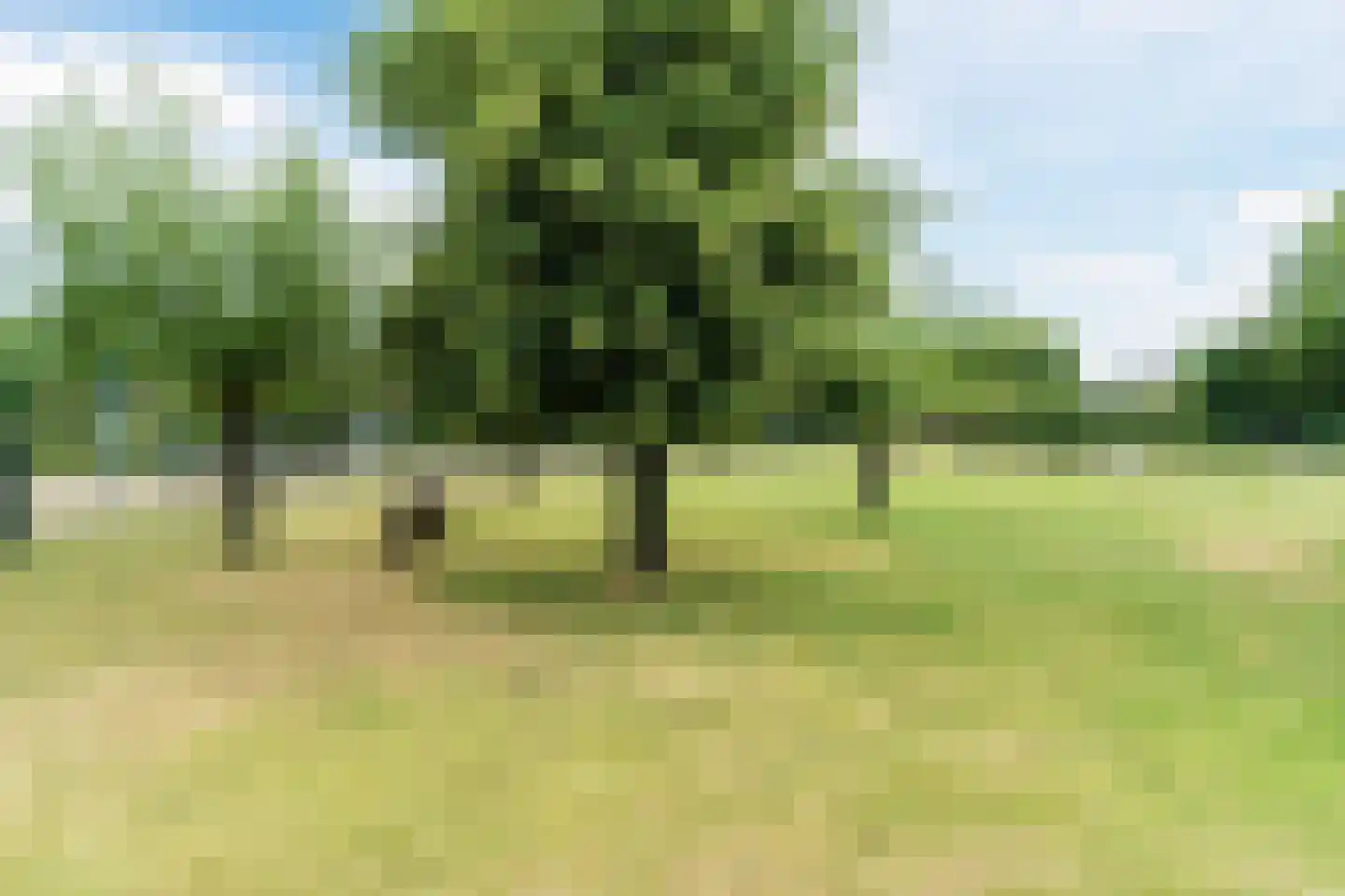 Regentessestraat 14 Geldermalsen thumbnail 31