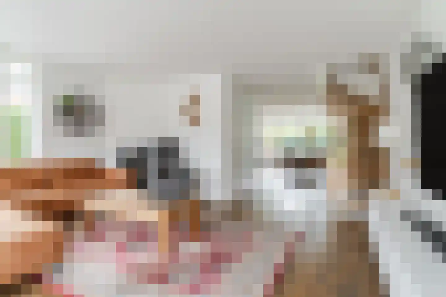Regentessestraat 14 Geldermalsen thumbnail 6