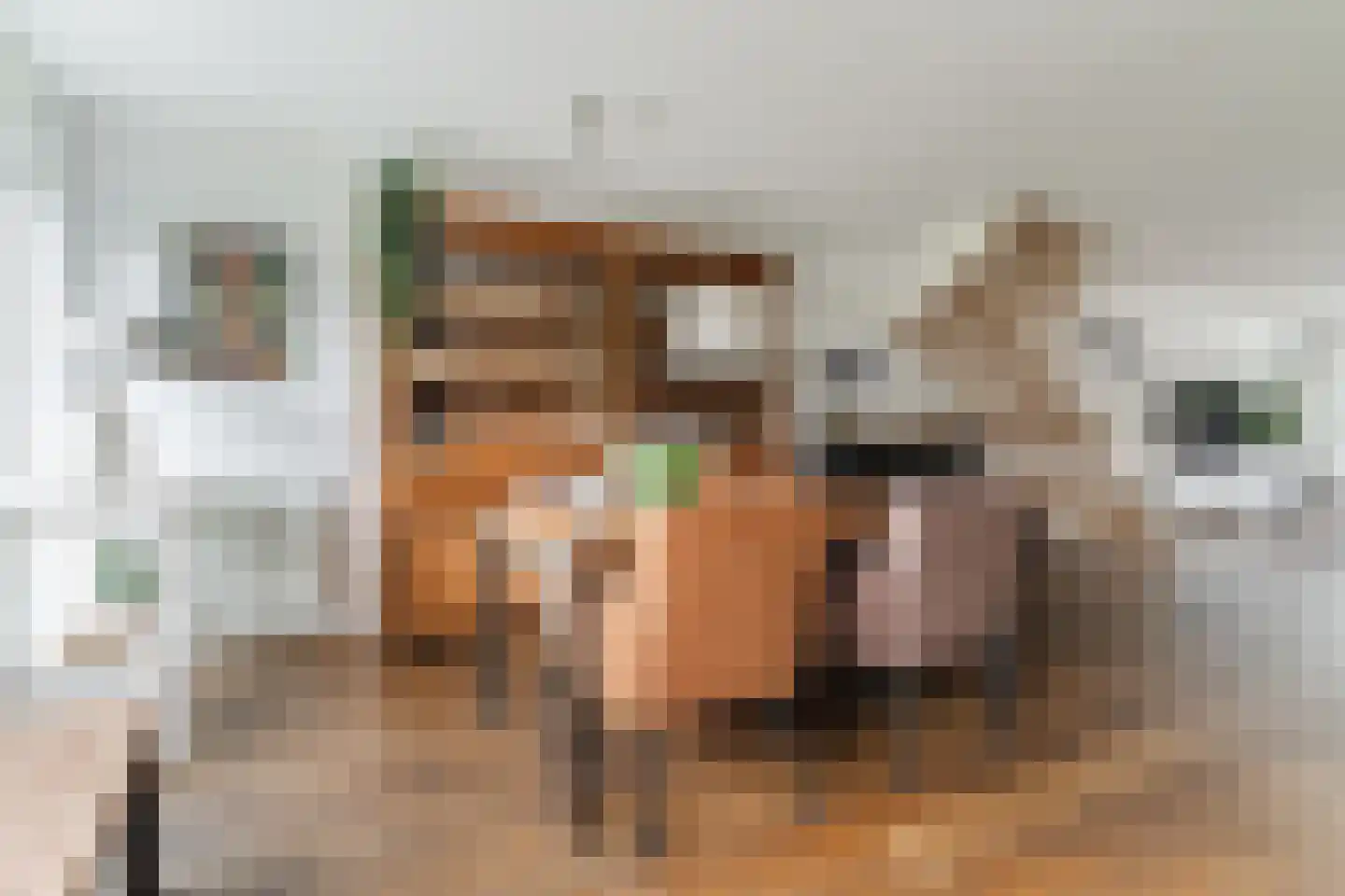 Regentessestraat 14 Geldermalsen thumbnail 7