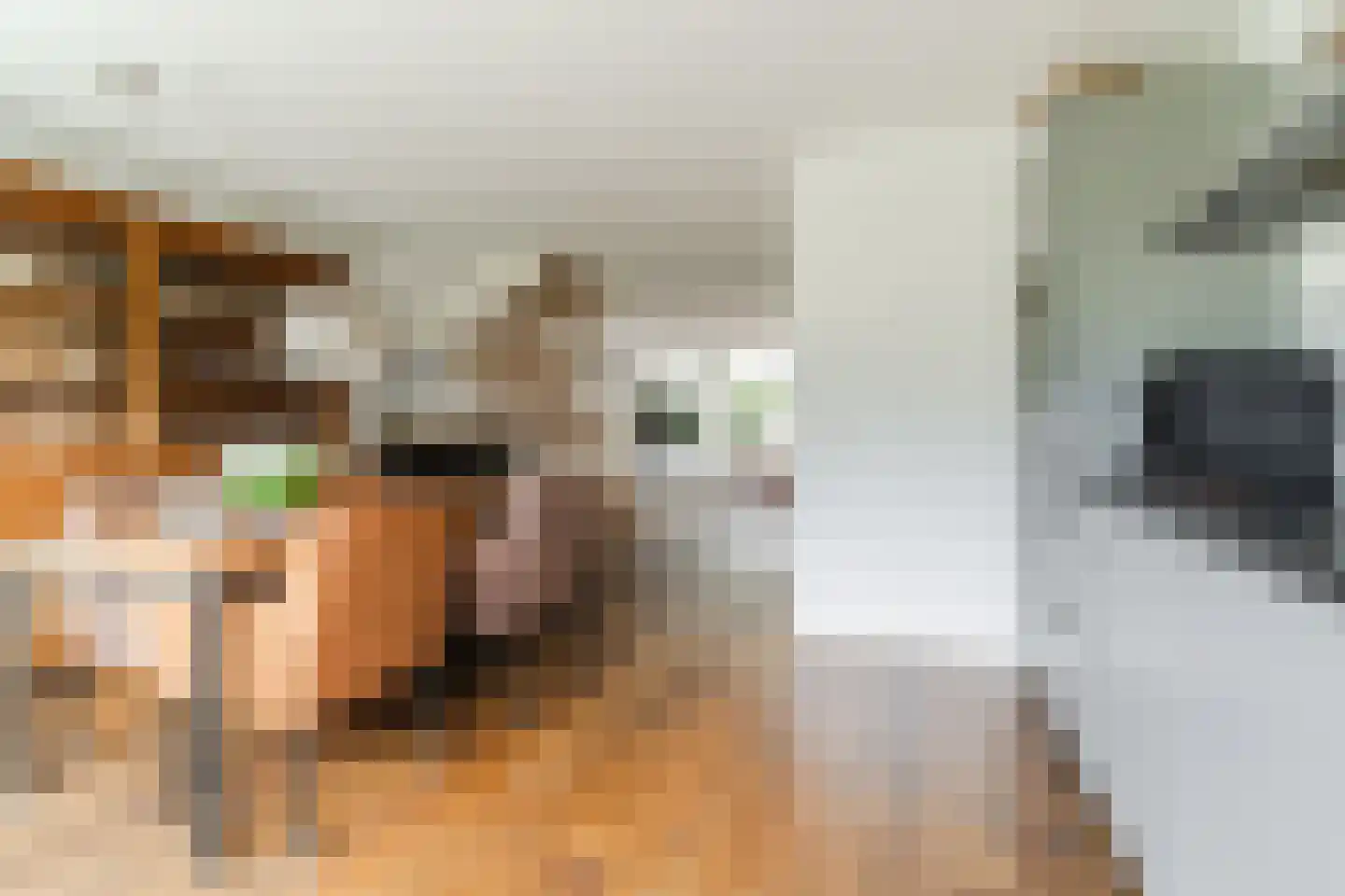 Regentessestraat 14 Geldermalsen thumbnail 8