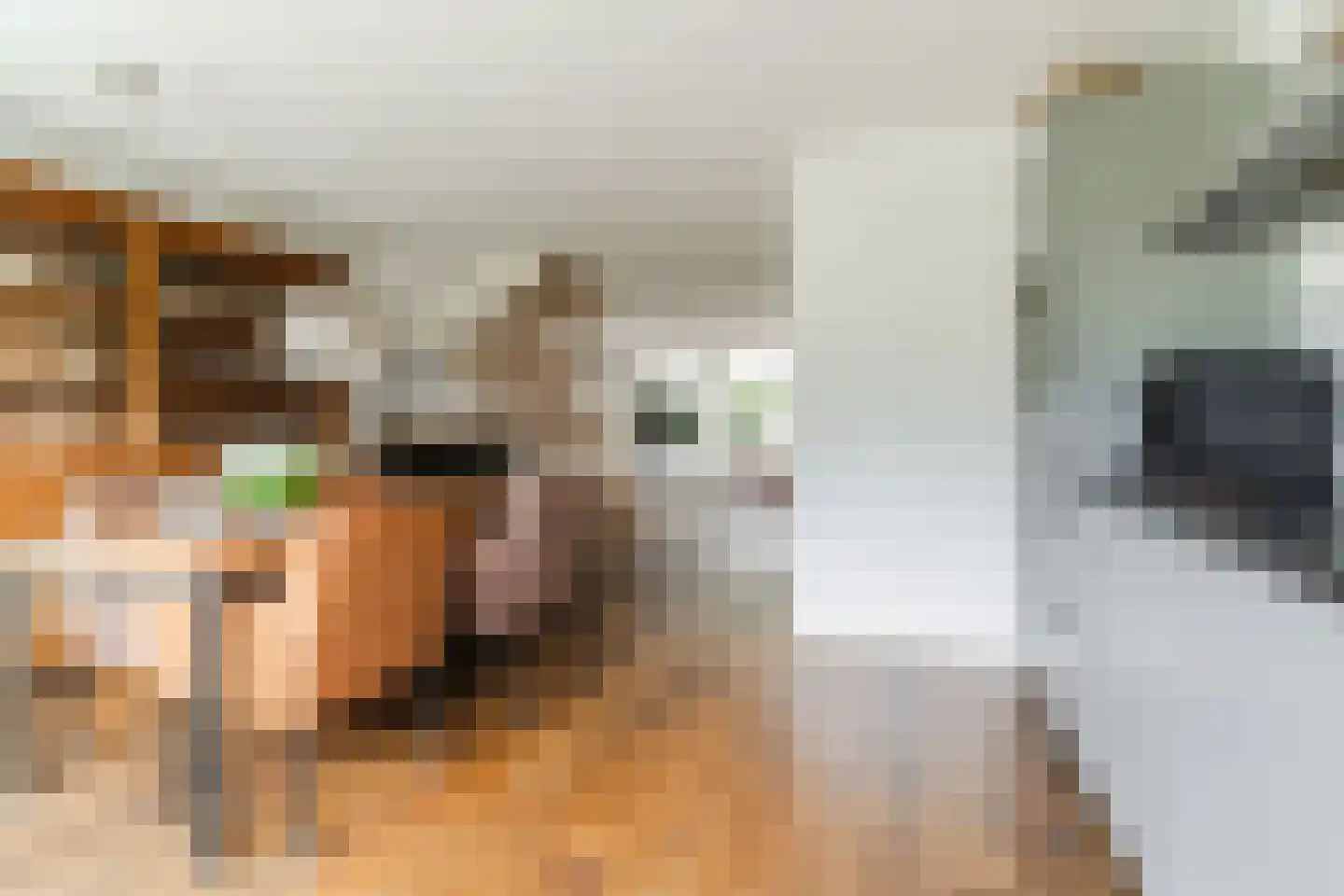 Regentessestraat 14 Geldermalsen thumbnail 8