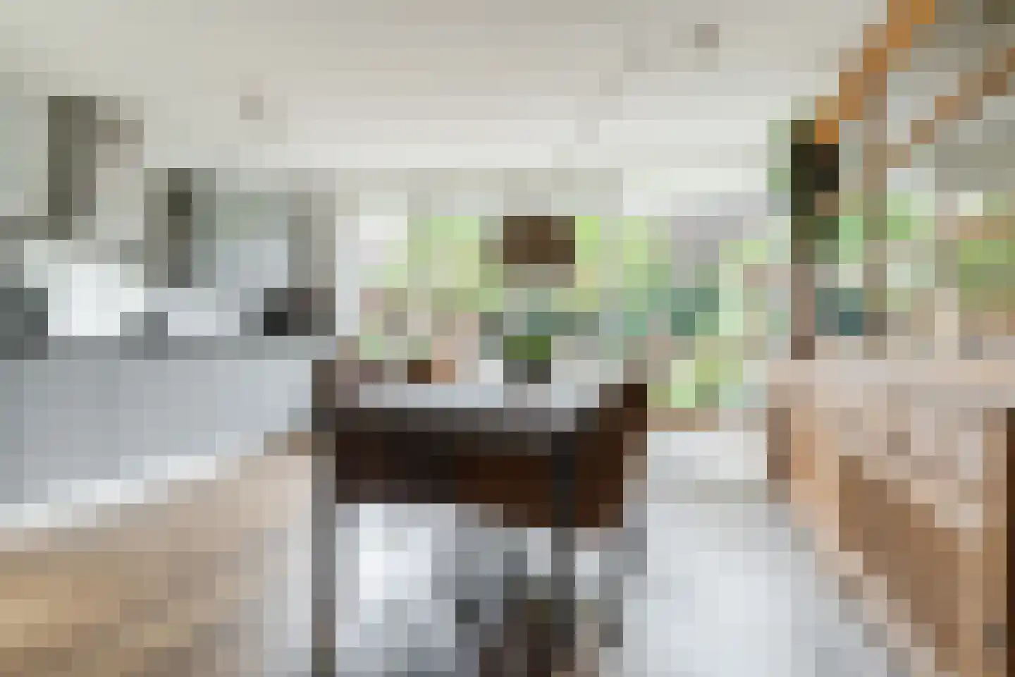 Regentessestraat 14 Geldermalsen thumbnail 9