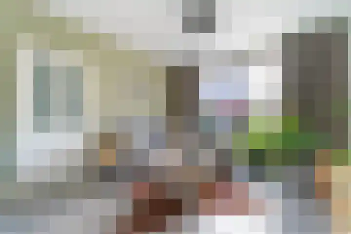Regentessestraat 20 Oost-Souburg thumbnail 7