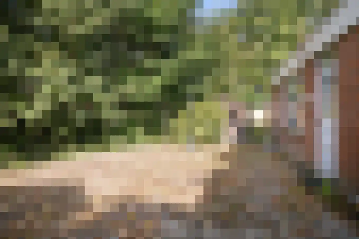 Regentessestraat 33 Tholen thumbnail 18