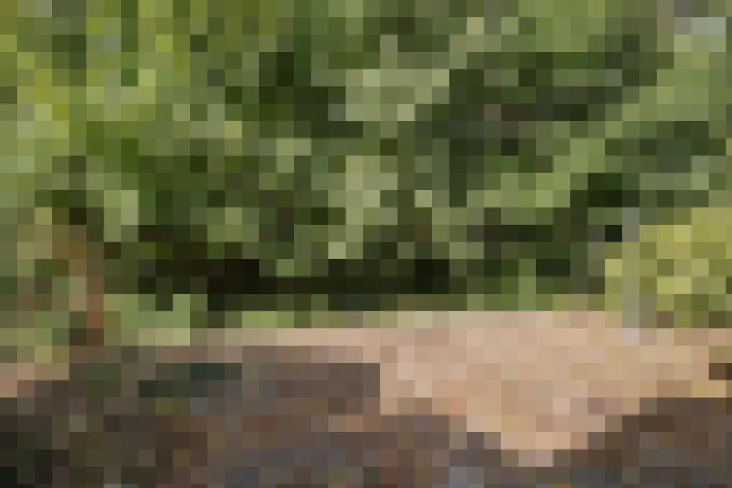 Regentessestraat 33 Tholen thumbnail 20