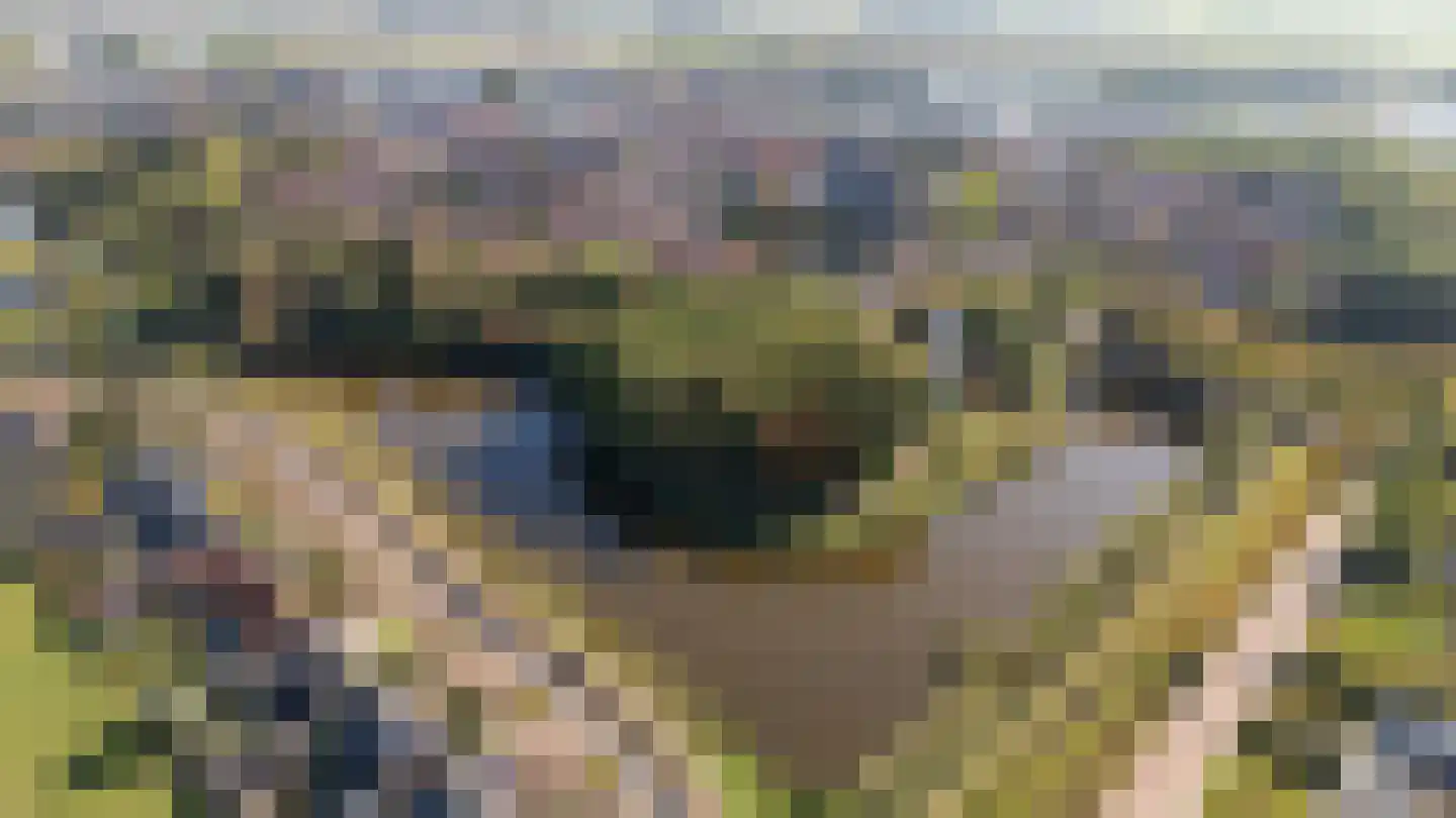 Regentessestraat 33 Tholen thumbnail 25