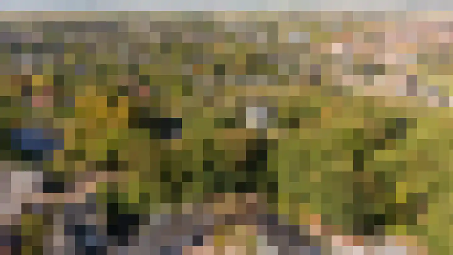Regentessestraat 33 Tholen thumbnail 26