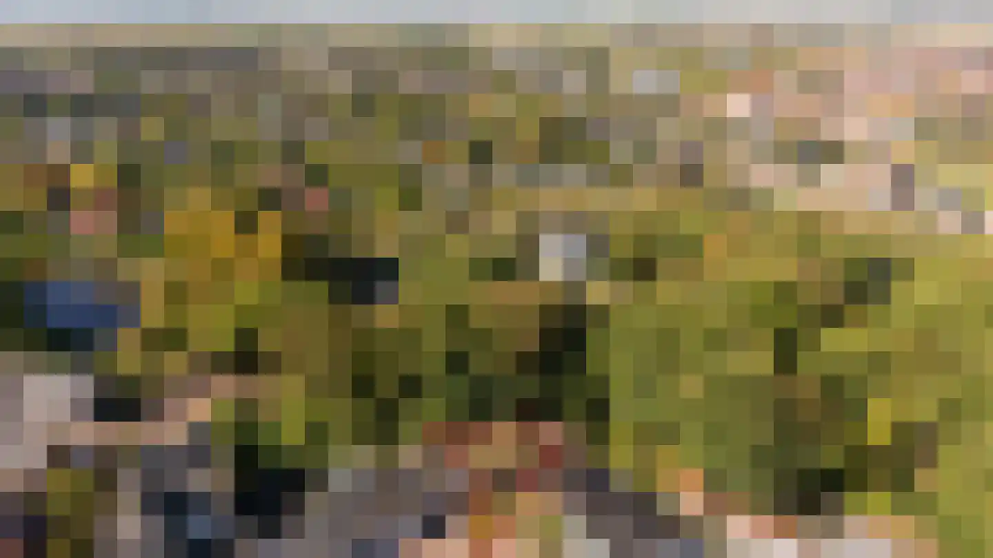 Regentessestraat 33 Tholen thumbnail 4