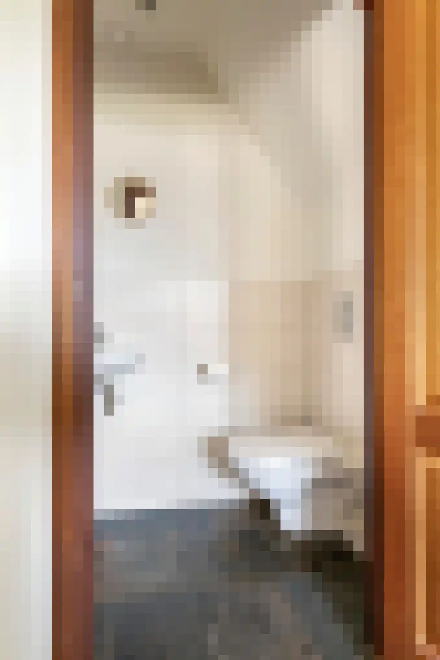 Regentessestraat 6 Geldermalsen thumbnail 11