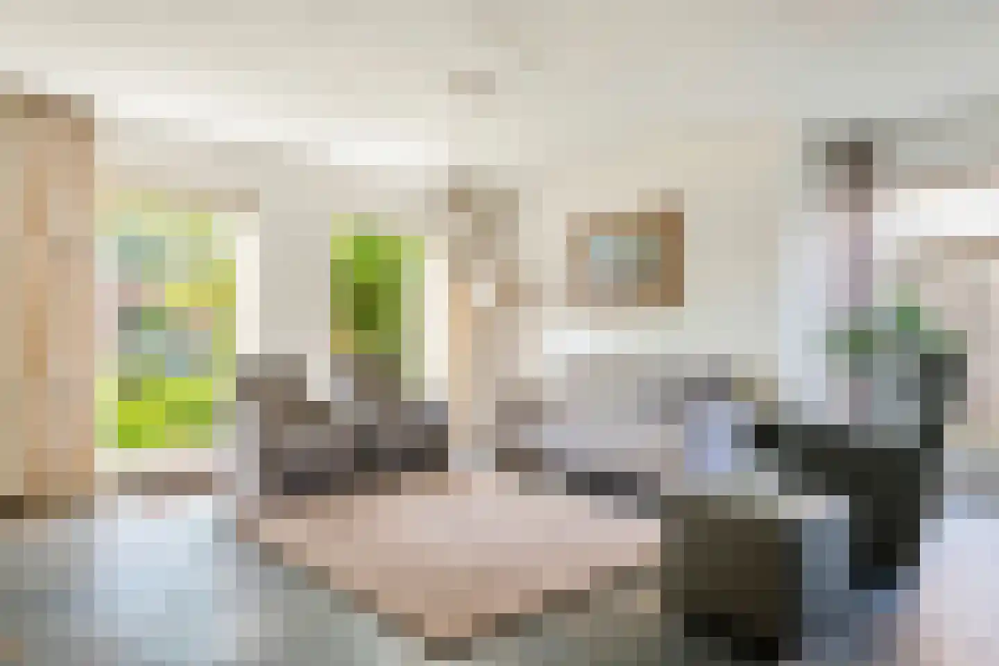 Regentessestraat 6 Geldermalsen thumbnail 14