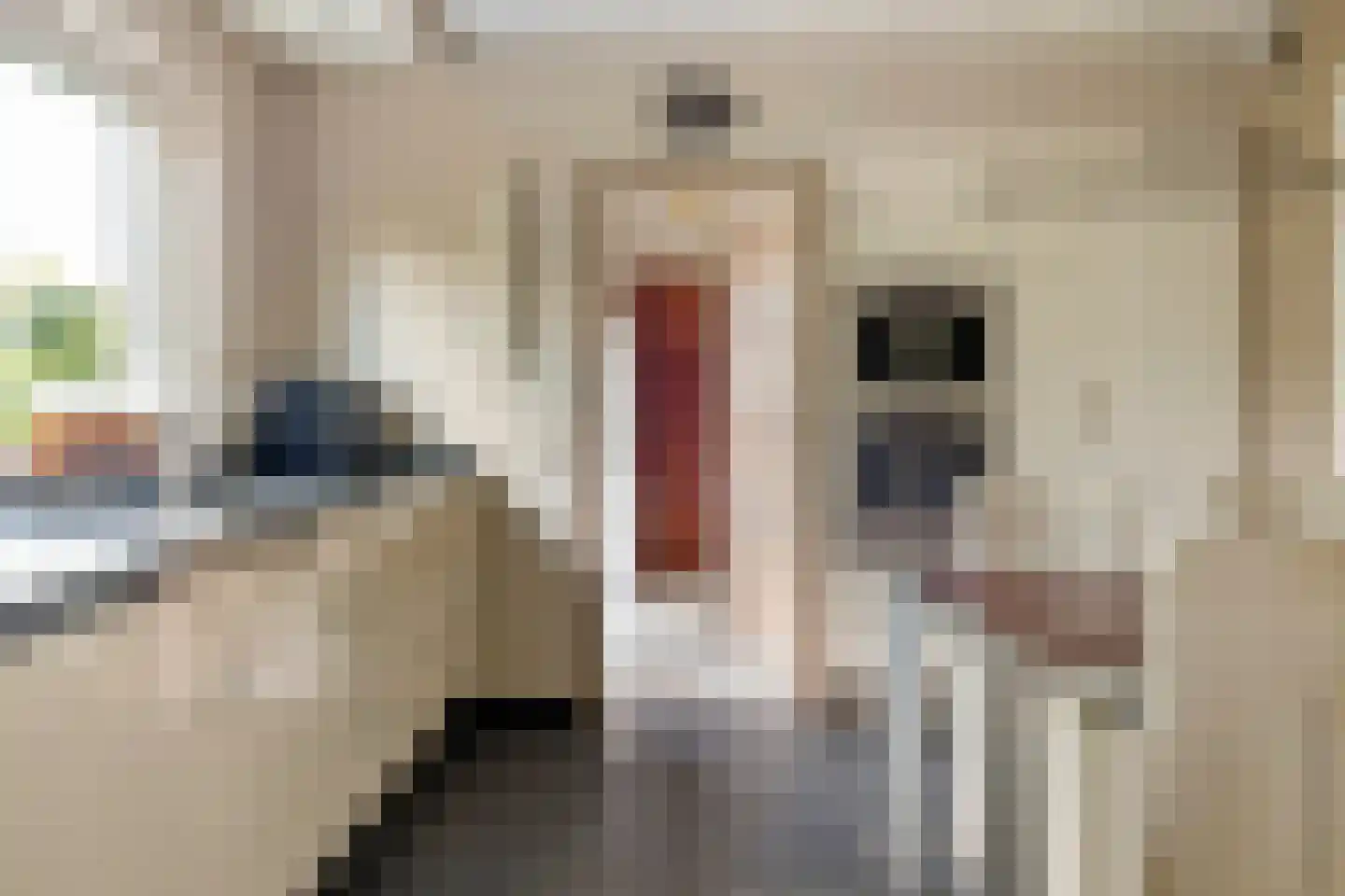Regentessestraat 6 Geldermalsen thumbnail 21