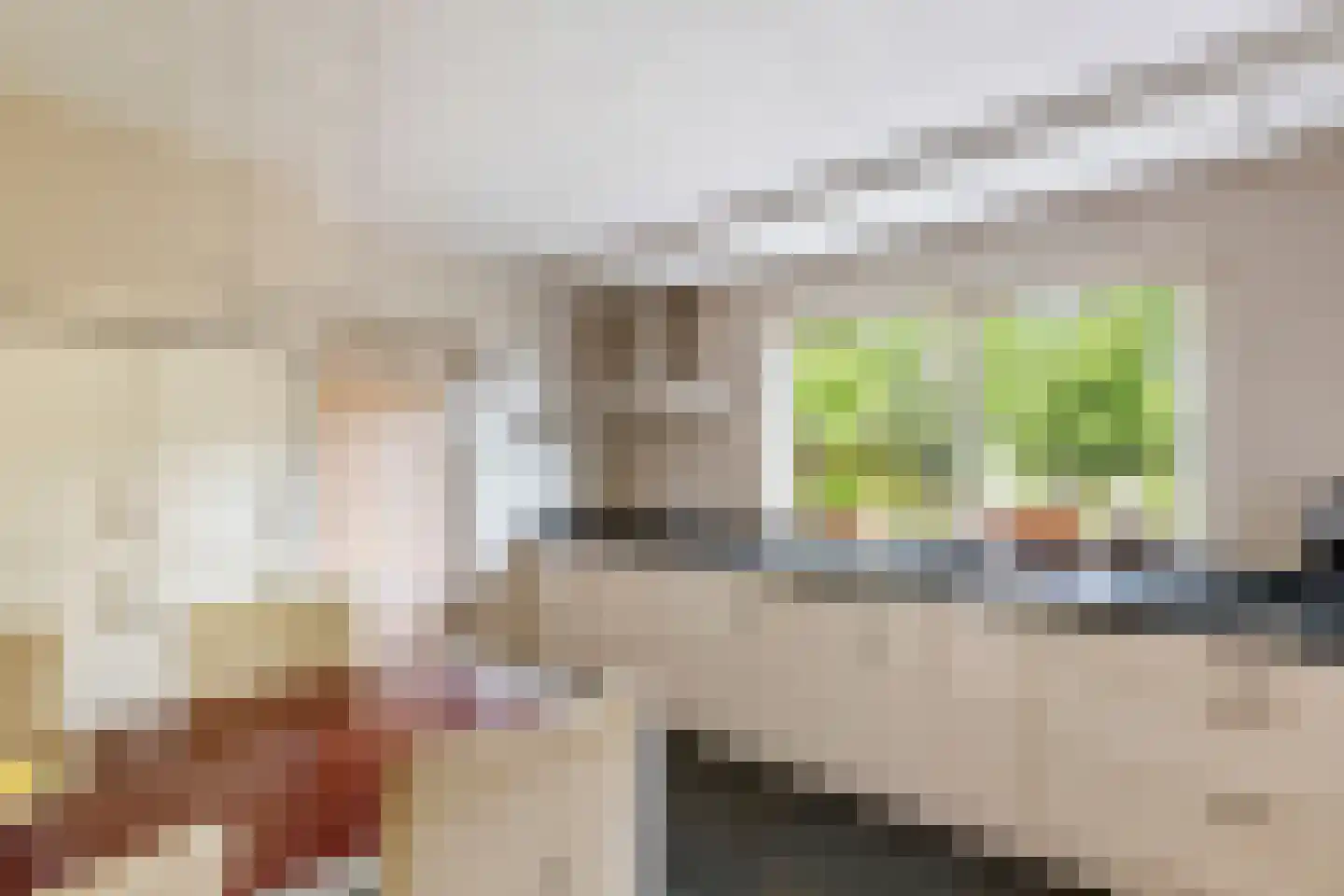 Regentessestraat 6 Geldermalsen thumbnail 24