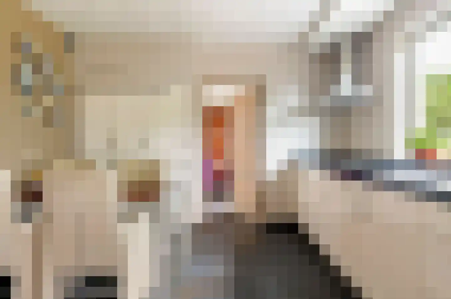 Regentessestraat 6 Geldermalsen thumbnail 25