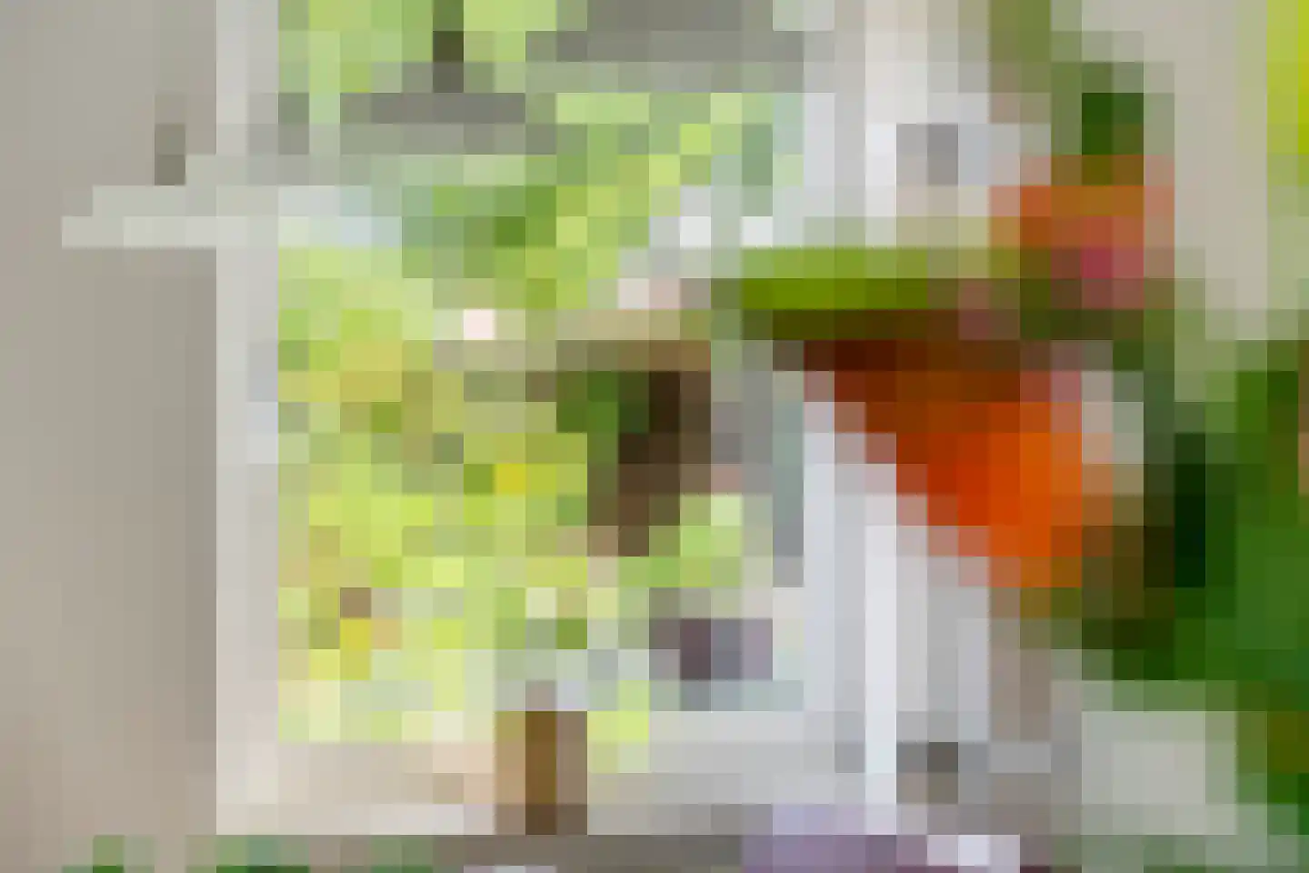 Regentessestraat 6 Geldermalsen thumbnail 27