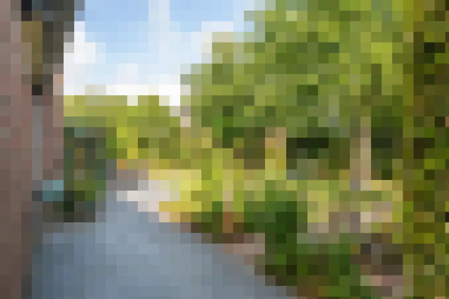 Regentessestraat 6 Geldermalsen thumbnail 30