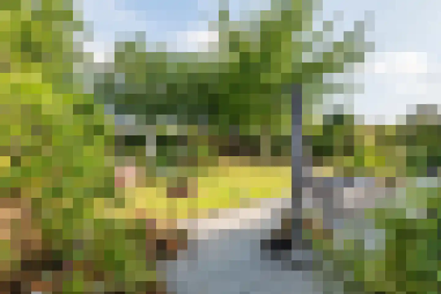 Regentessestraat 6 Geldermalsen thumbnail 31