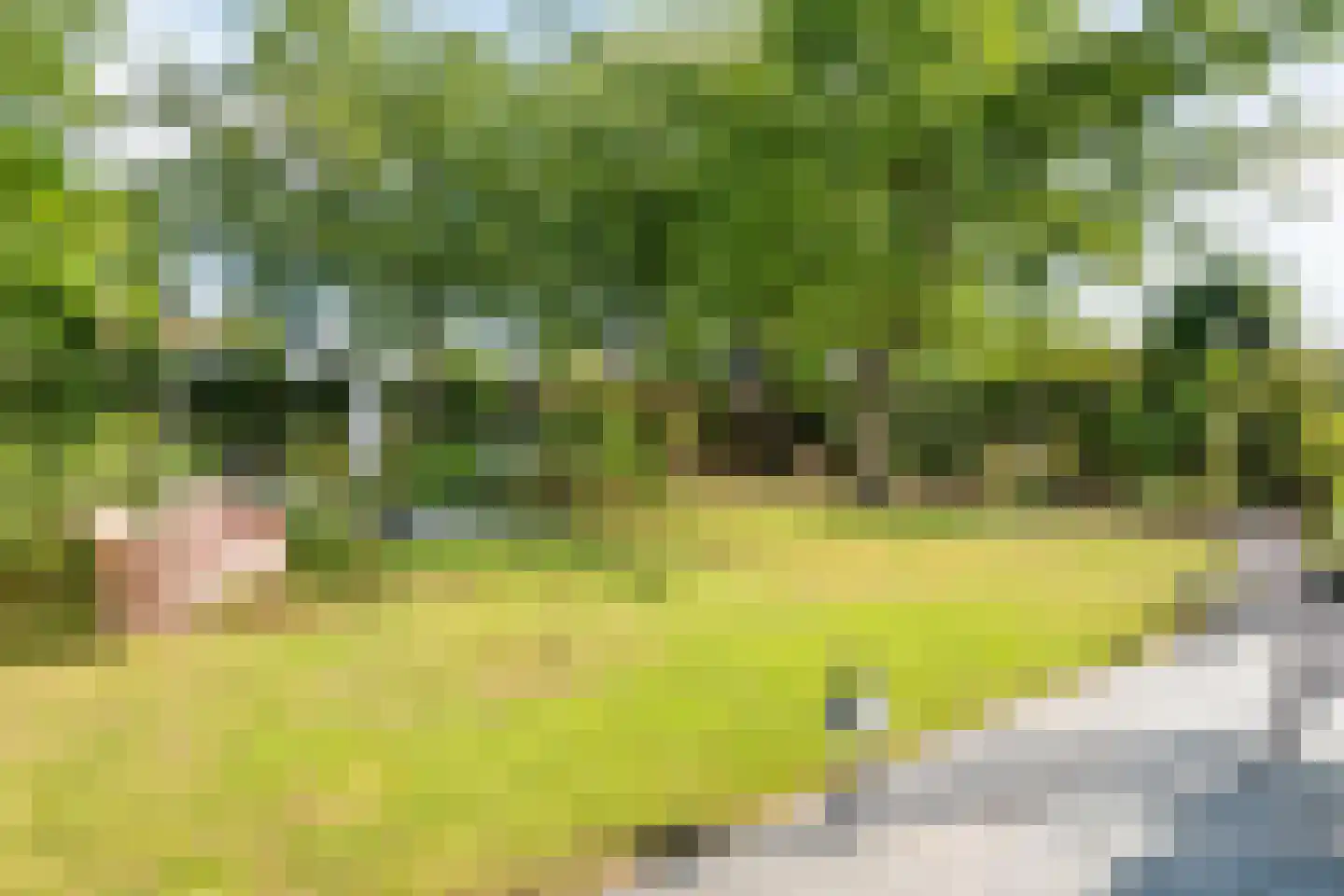 Regentessestraat 6 Geldermalsen thumbnail 32