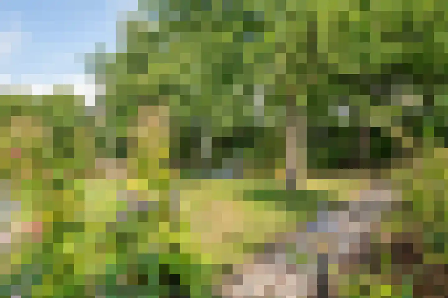 Regentessestraat 6 Geldermalsen thumbnail 33