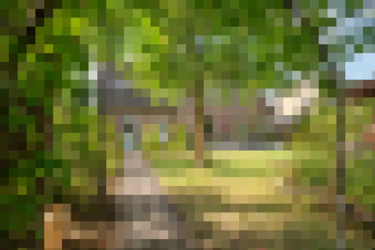 Regentessestraat 6 Geldermalsen thumbnail 34