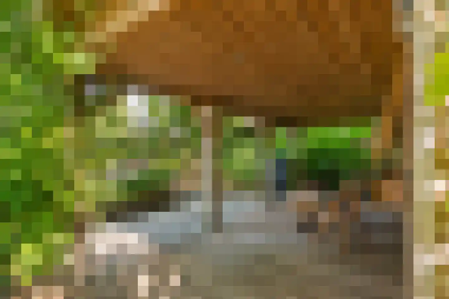 Regentessestraat 6 Geldermalsen thumbnail 35