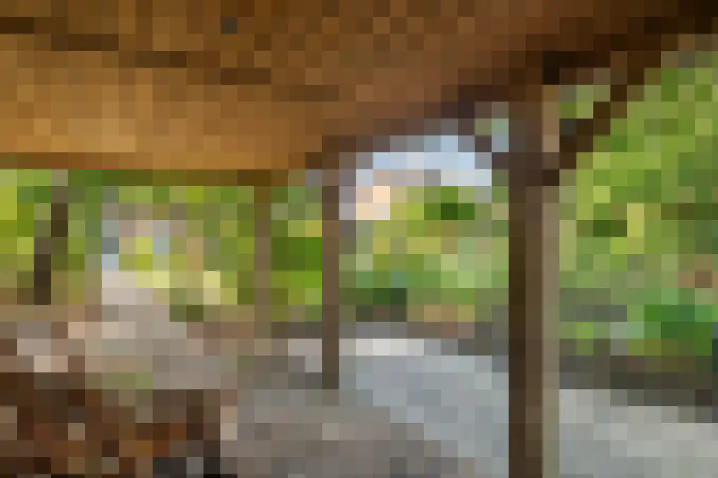 Regentessestraat 6 Geldermalsen thumbnail 36
