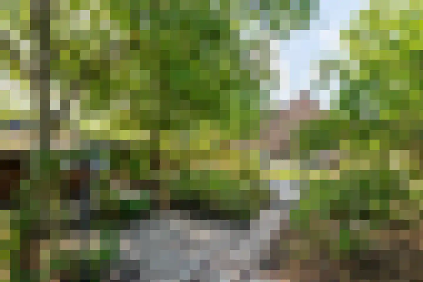 Regentessestraat 6 Geldermalsen thumbnail 37