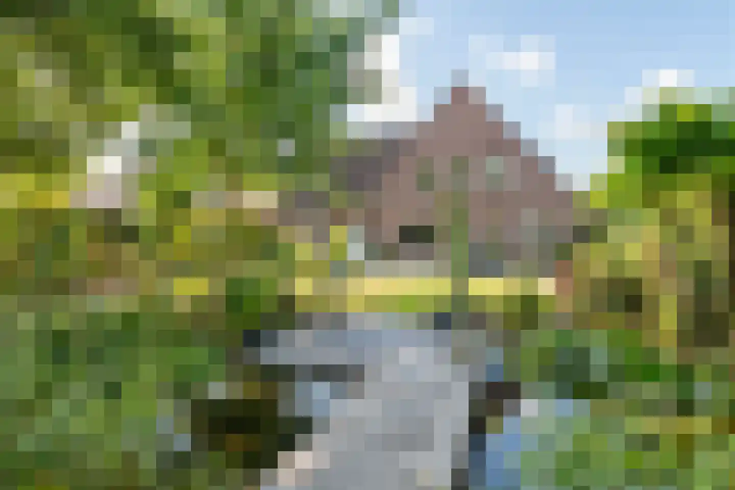 Regentessestraat 6 Geldermalsen thumbnail 38