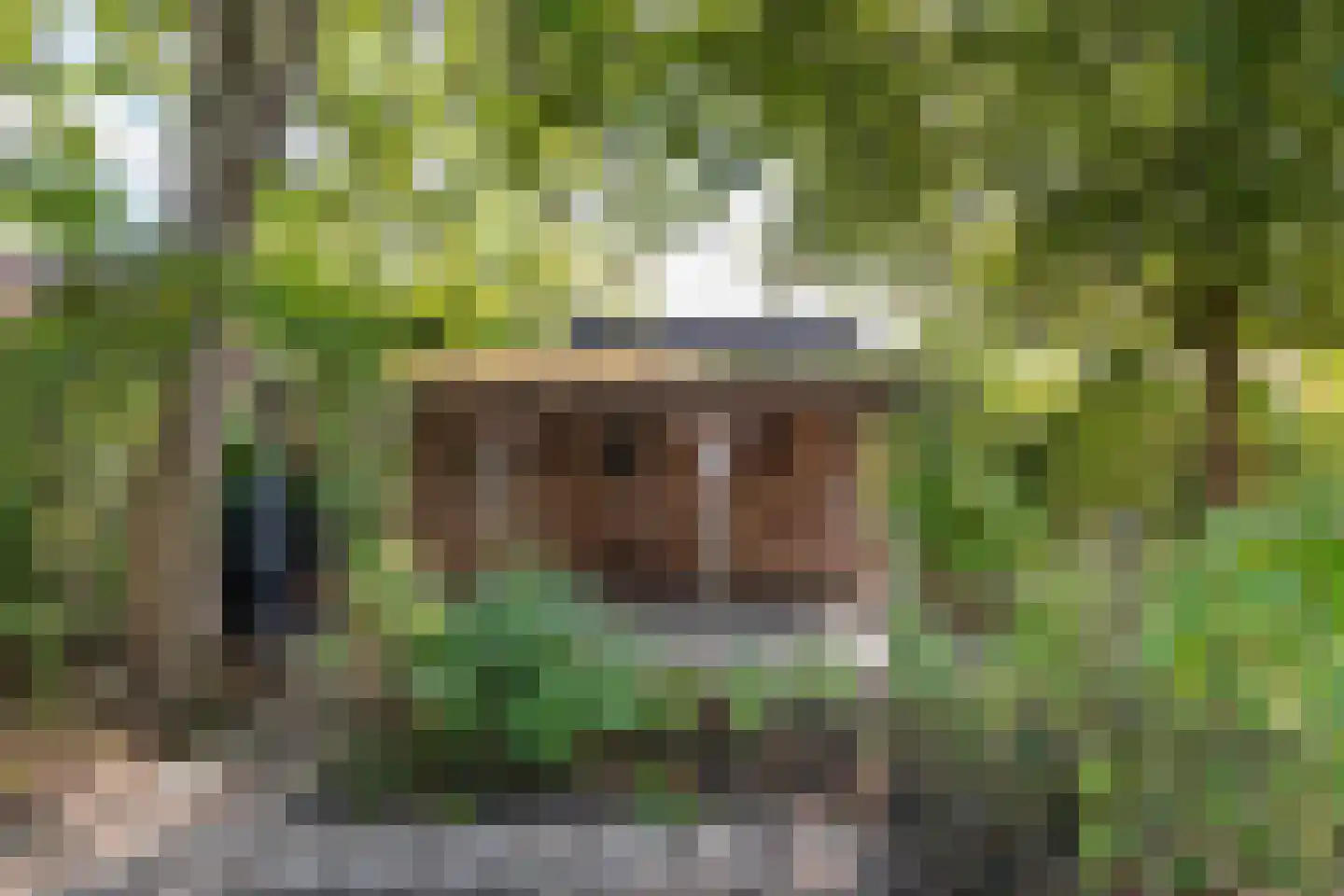 Regentessestraat 6 Geldermalsen thumbnail 39