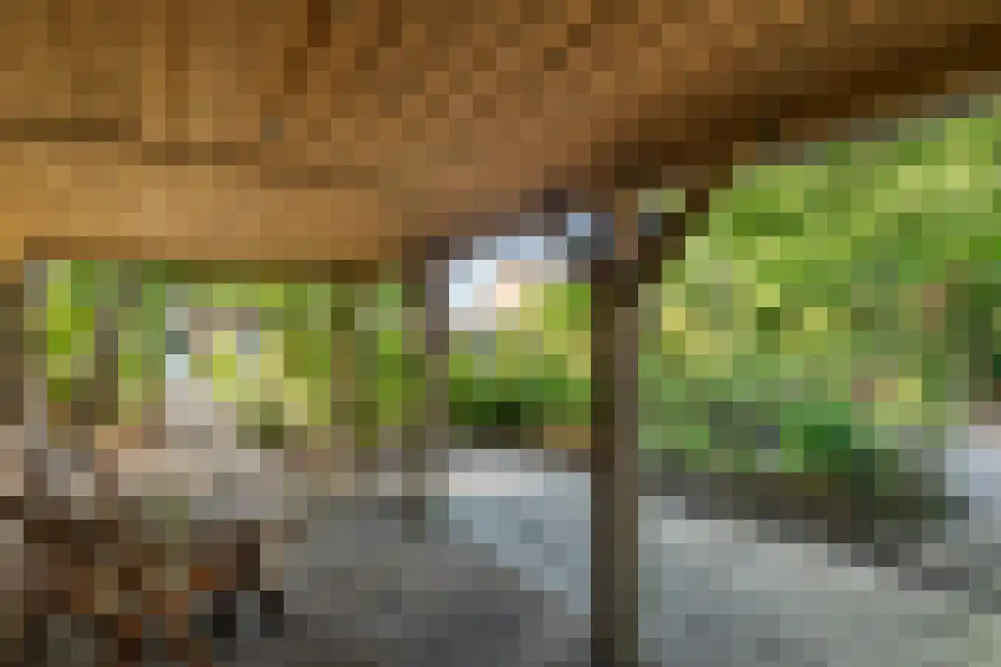 Regentessestraat 6 Geldermalsen thumbnail 41