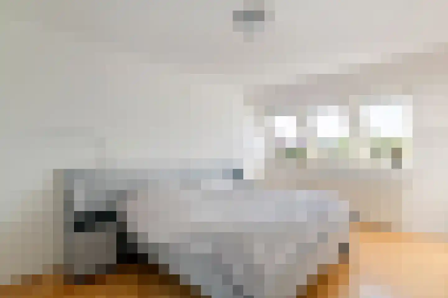 Regentessestraat 6 Geldermalsen thumbnail 49