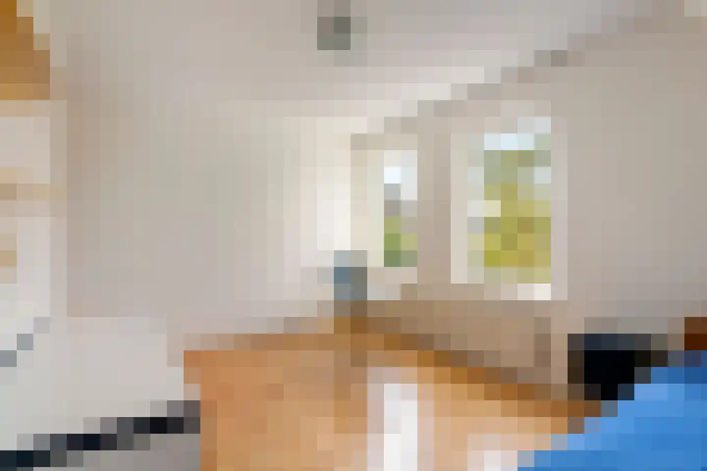 Regentessestraat 6 Geldermalsen thumbnail 56