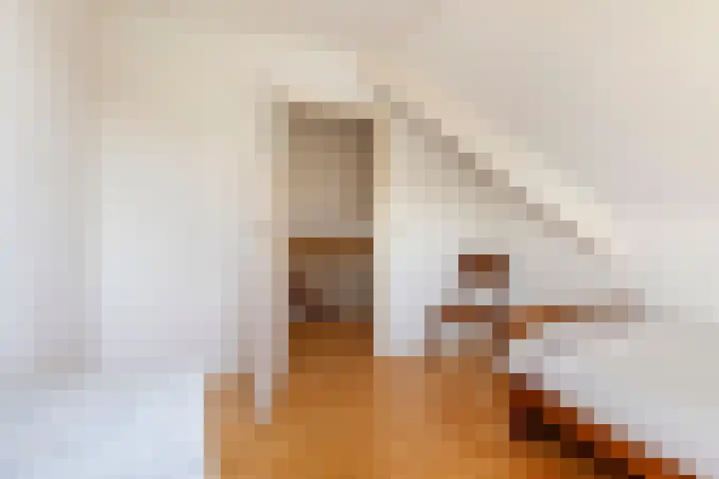 Regentessestraat 6 Geldermalsen thumbnail 58
