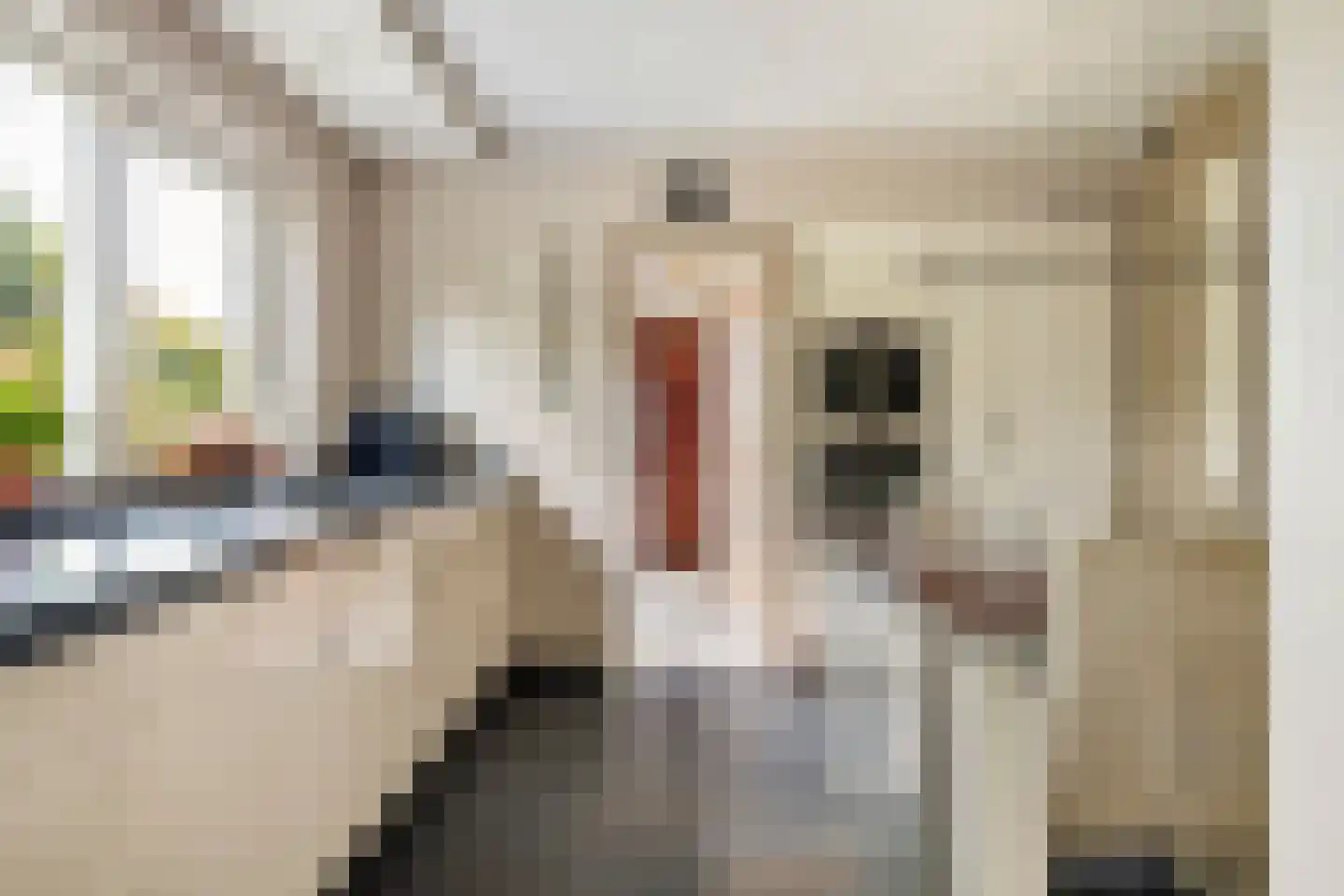 Regentessestraat 6 Geldermalsen thumbnail 6
