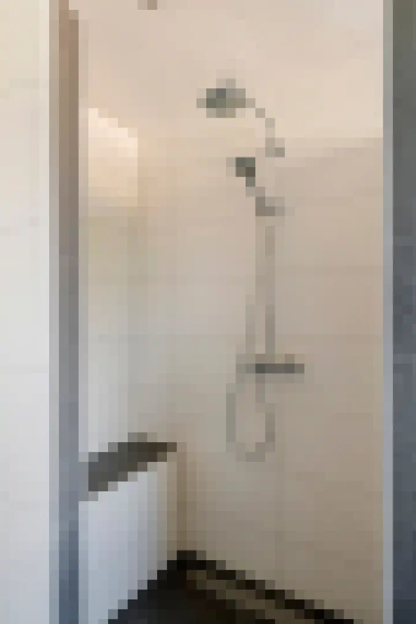 Regentessestraat 6 Geldermalsen thumbnail 64