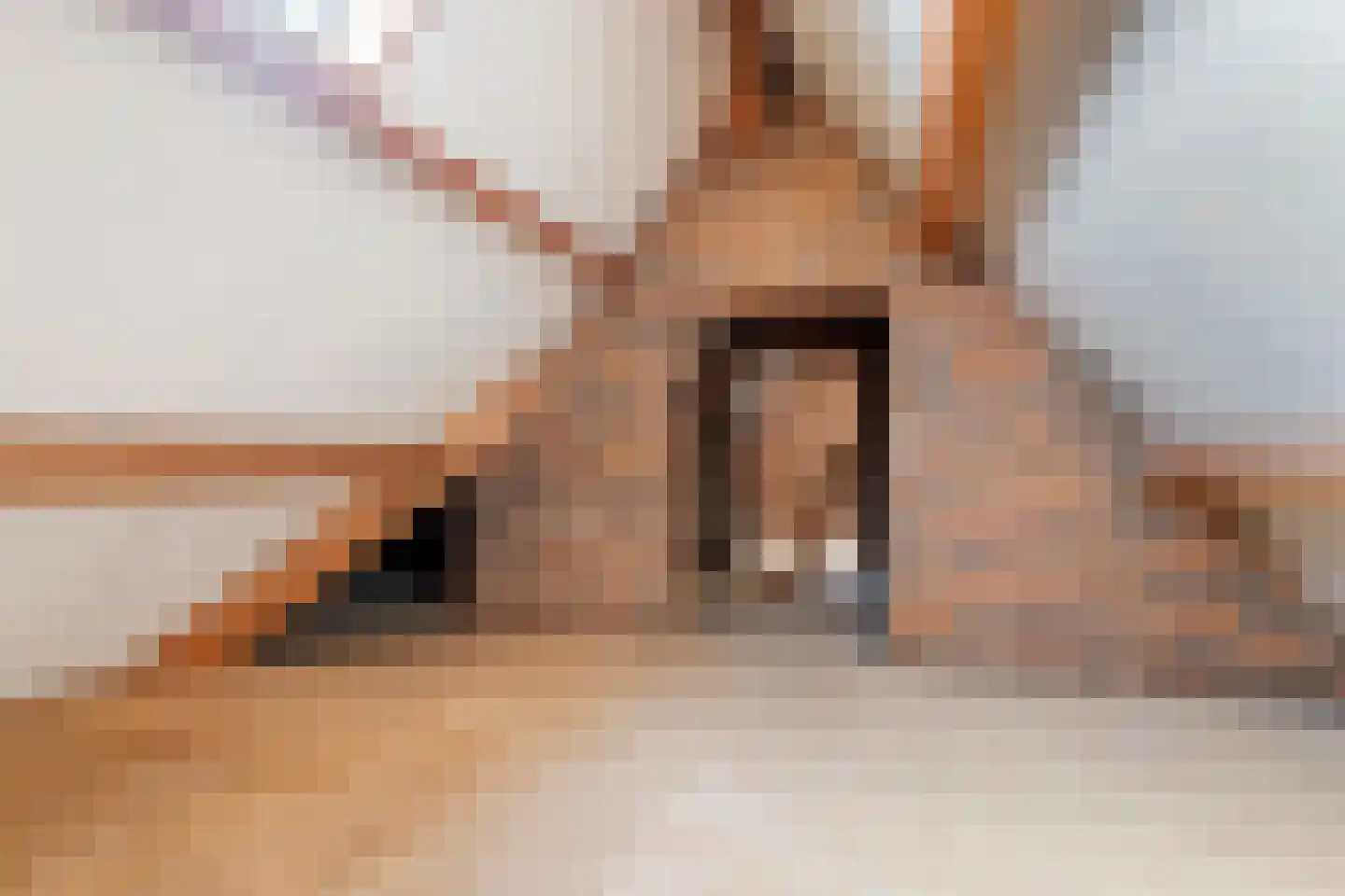 Regentessestraat 6 Geldermalsen thumbnail 67
