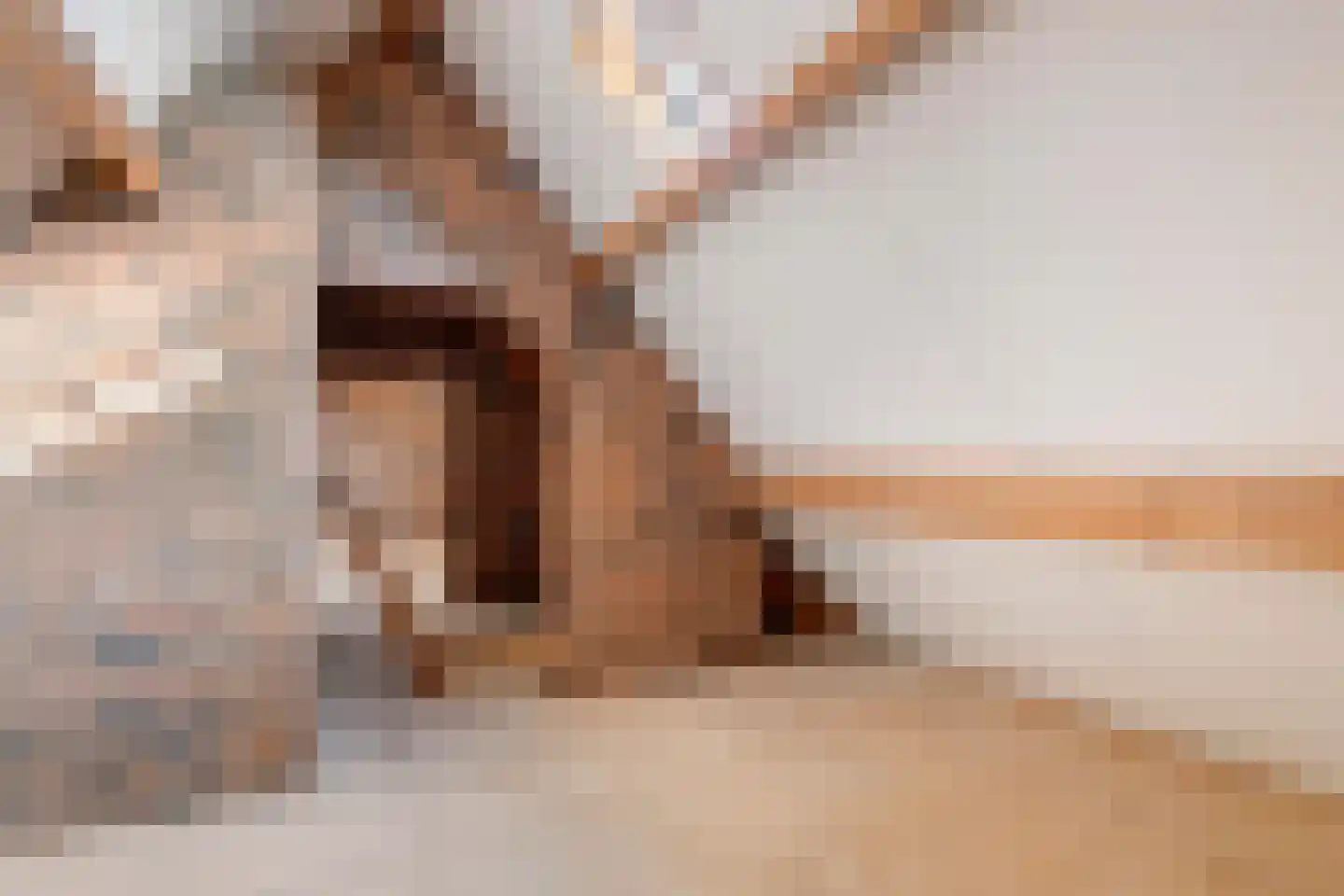 Regentessestraat 6 Geldermalsen thumbnail 68