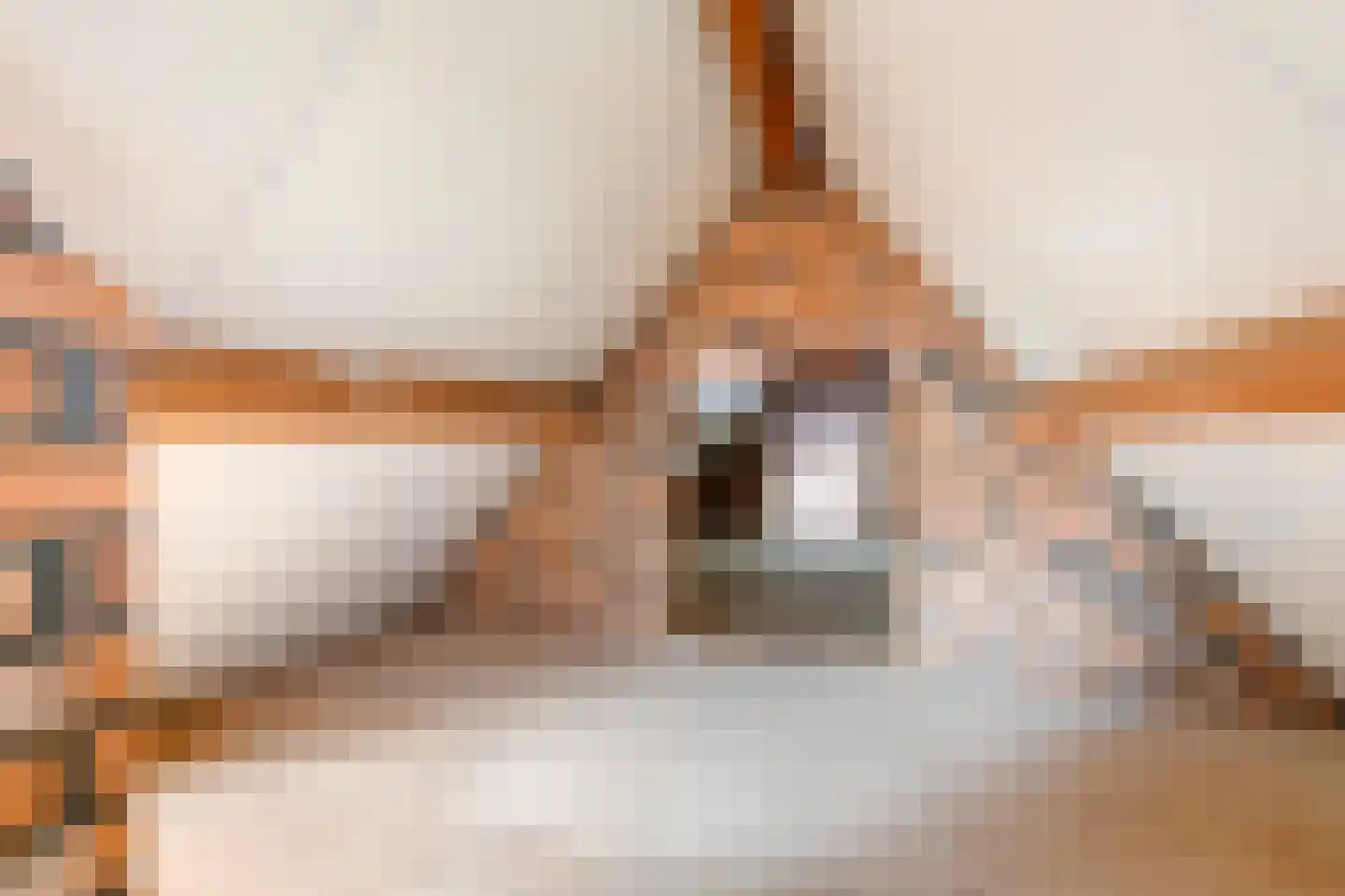 Regentessestraat 6 Geldermalsen thumbnail 69