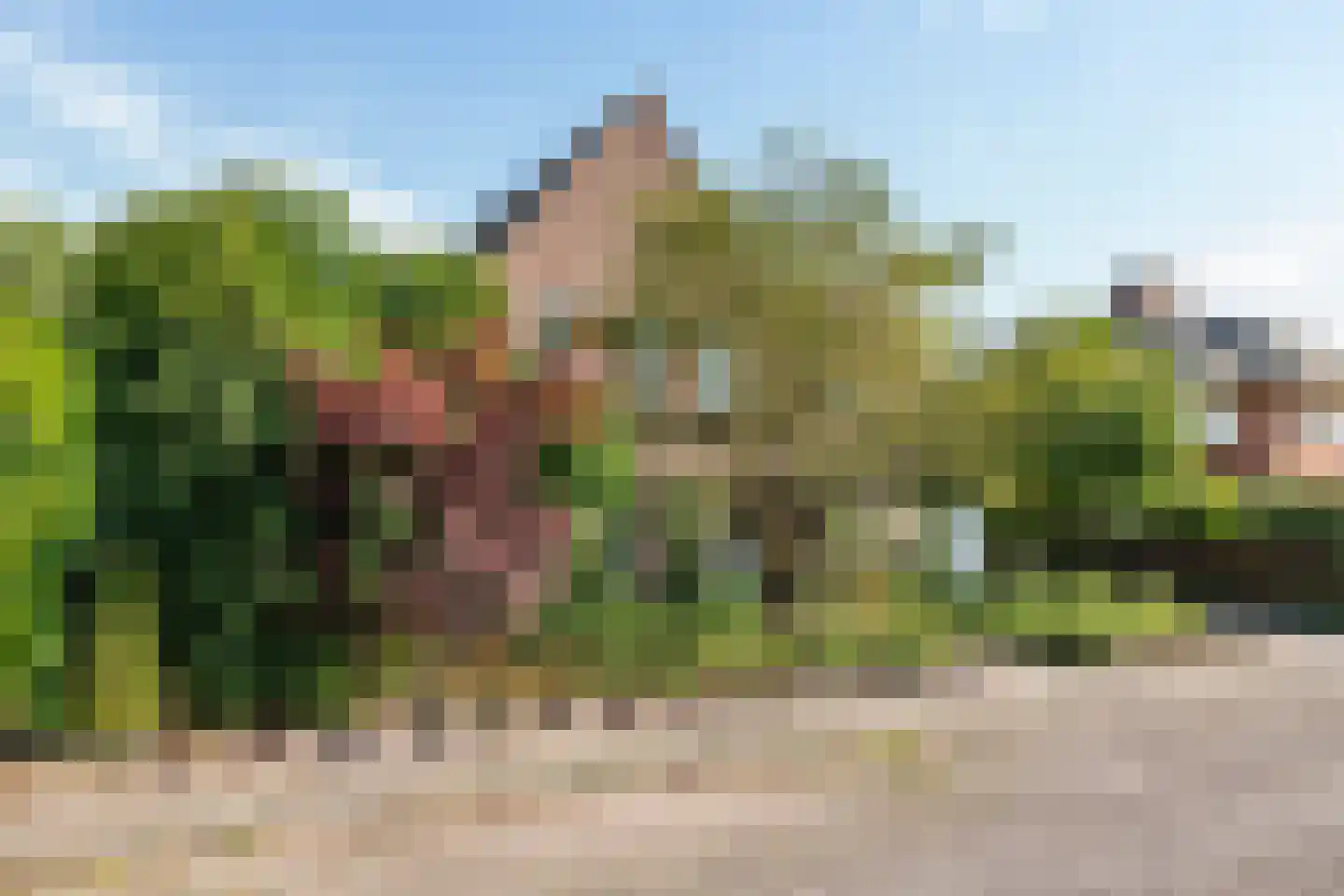 Regentessestraat 6 Geldermalsen thumbnail 70
